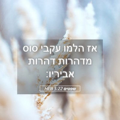 Picture 05 - שפטים 5:22 HEB - אז הלמו עקבי סוס מדהרות - Bible Verse Picture