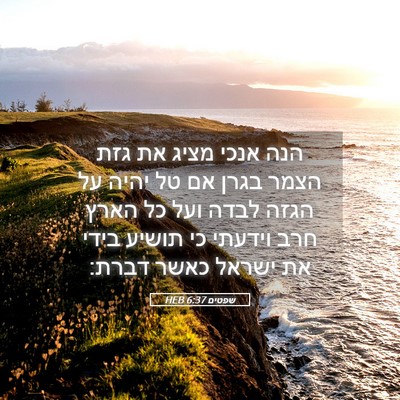Picture 05 - שפטים 6:37 HEB - הנה אנכי מציג את גזת הצמר - Bible Verse Picture