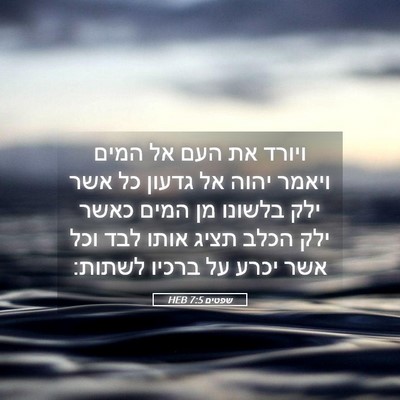 Picture 05 - שפטים 7:5 HEB - ויורד את העם אל המים ויאמר - Bible Verse Picture