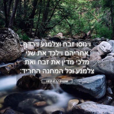 Picture 05 - שפטים 8:12 HEB - וינוסו זבח וצלמנע וירדף - Bible Verse Picture