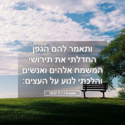 Picture 05 - שפטים 9:13 HEB - ותאמר להם הגפן החדלתי את - Bible Verse Picture