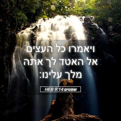 Picture 05 - שפטים 9:14 HEB - ויאמרו כל העצים אל האטד לך - Bible Verse Picture