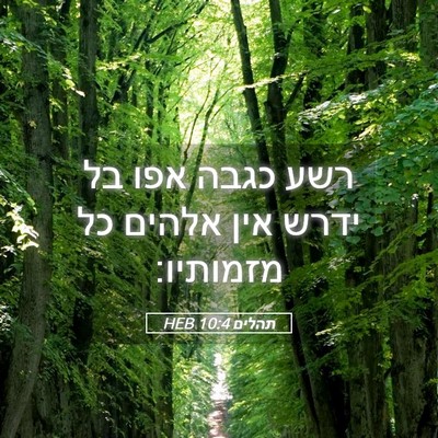 Picture 05 - תהלים 10:4 HEB - רשע כגבה אפו בל ידרש אין - Bible Verse Picture
