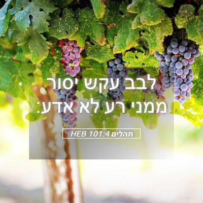 Picture 05 - תהלים 101:4 HEB - לבב עקש יסור ממני רע לא - Bible Verse Picture