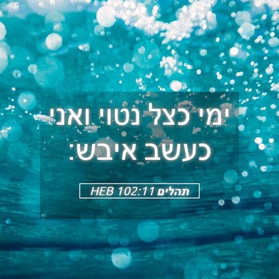 Picture 05 - תהלים 102:11 HEB - ימי כצל נטוי ואני כעשב - Bible Verse Picture