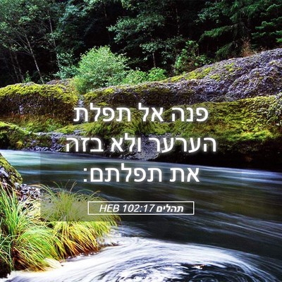 Picture 05 - תהלים 102:17 HEB - פנה אל תפלת הערער ולא בזה - Bible Verse Picture