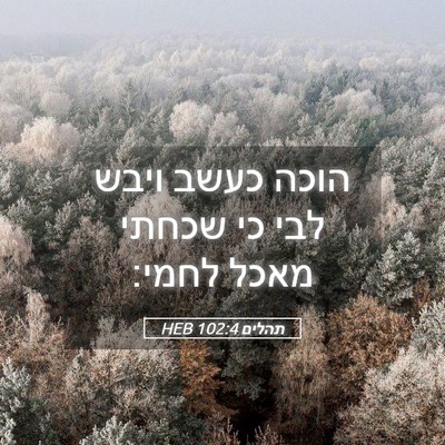 Picture 05 - תהלים 102:4 HEB - הוכה כעשב ויבש לבי כי שכחתי - Bible Verse Picture