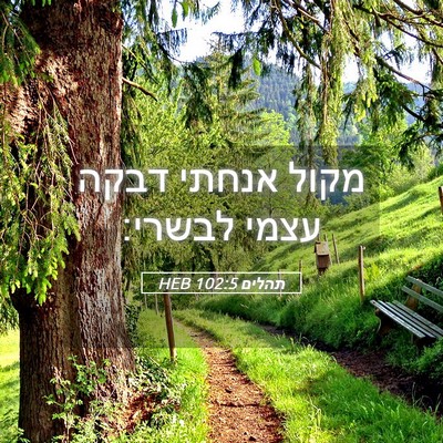 Picture 05 - תהלים 102:5 HEB - מקול אנחתי דבקה עצמי - Bible Verse Picture