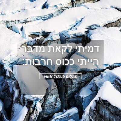 Picture 05 - תהלים 102:6 HEB - דמיתי לקאת מדבר הייתי ככוס - Bible Verse Picture