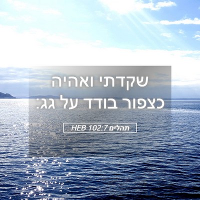 Picture 05 - תהלים 102:7 HEB - שקדתי ואהיה כצפור בודד על - Bible Verse Picture