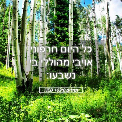 Picture 05 - תהלים 102:8 HEB - כל היום חרפוני אויבי - Bible Verse Picture