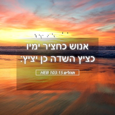 Picture 05 - תהלים 103:15 HEB - אנוש כחציר ימיו כציץ השדה - Bible Verse Picture