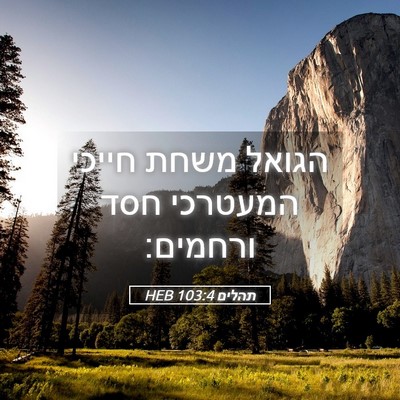 Picture 05 - תהלים 103:4 HEB - הגואל משחת חייכי המעטרכי - Bible Verse Picture