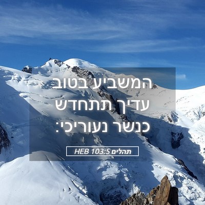 Picture 05 - תהלים 103:5 HEB - המשביע בטוב עדיך תתחדש - Bible Verse Picture