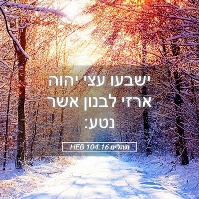 Picture 05 - תהלים 104:16 HEB - ישבעו עצי יהוה ארזי לבנון - Bible Verse Picture