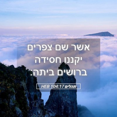 Picture 05 - תהלים 104:17 HEB - אשר שם צפרים יקננו חסידה - Bible Verse Picture