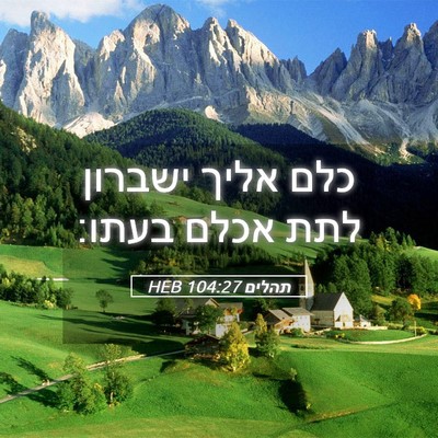 Picture 05 - תהלים 104:27 HEB - כלם אליך ישברון לתת אכלם - Bible Verse Picture