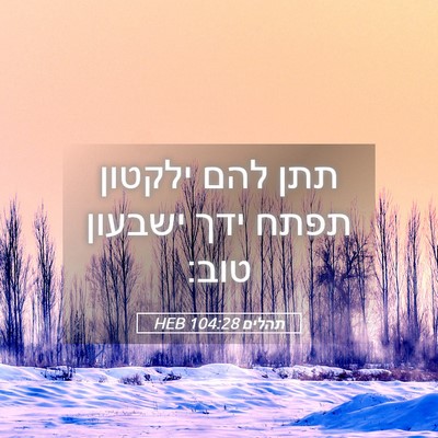 Picture 05 - תהלים 104:28 HEB - תתן להם ילקטון תפתח ידך - Bible Verse Picture