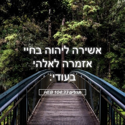 Picture 05 - תהלים 104:33 HEB - אשירה ליהוה בחיי אזמרה - Bible Verse Picture