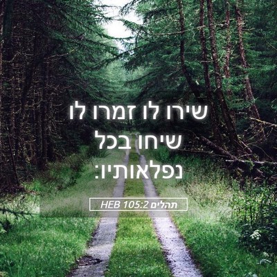 Picture 05 - תהלים 105:2 HEB - שירו לו זמרו לו שיחו בכל - Bible Verse Picture
