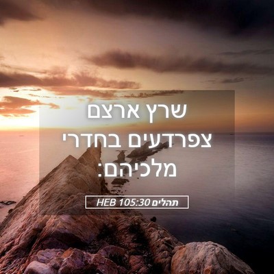 Picture 05 - תהלים 105:30 HEB - שרץ ארצם צפרדעים בחדרי - Bible Verse Picture