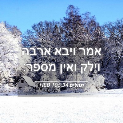 Picture 05 - תהלים 105:34 HEB - אמר ויבא ארבה וילק ואין - Bible Verse Picture