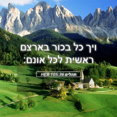 Picture 05 - תהלים 105:36 HEB - ויך כל בכור בארצם ראשית לכל - Bible Verse Picture