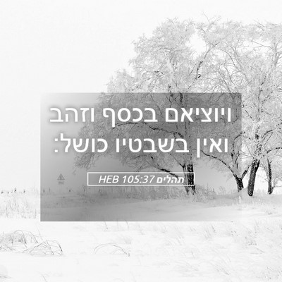 Picture 05 - תהלים 105:37 HEB - ויוציאם בכסף וזהב ואין - Bible Verse Picture