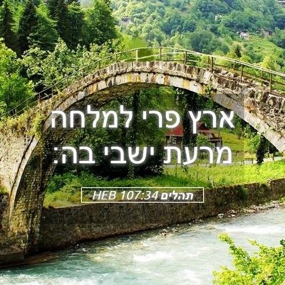 Picture 05 - תהלים 107:34 HEB - ארץ פרי למלחה מרעת ישבי - Bible Verse Picture