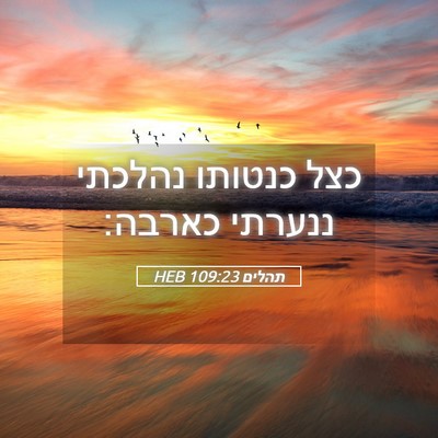 Picture 05 - תהלים 109:23 HEB - כצל כנטותו נהלכתי ננערתי - Bible Verse Picture