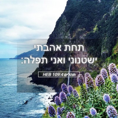 Picture 05 - תהלים 109:4 HEB - תחת אהבתי ישטנוני ואני - Bible Verse Picture