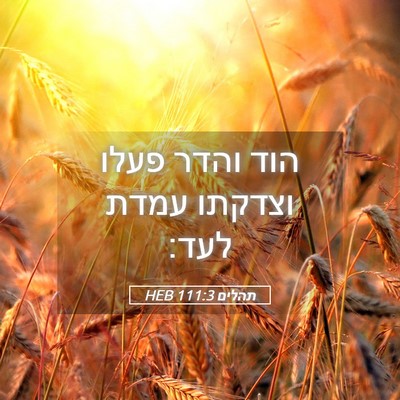 Picture 05 - תהלים 111:3 HEB - הוד והדר פעלו וצדקתו עמדת - Bible Verse Picture