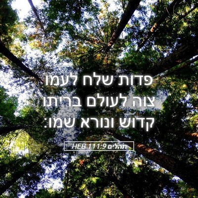 Picture 05 - תהלים 111:9 HEB - פדות שלח לעמו צוה לעולם - Bible Verse Picture