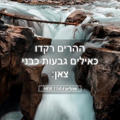 Picture 05 - תהלים 114:4 HEB - ההרים רקדו כאילים גבעות - Bible Verse Picture