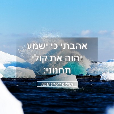 Picture 05 - תהלים 116:1 HEB - אהבתי כי ישמע יהוה את קולי - Bible Verse Picture