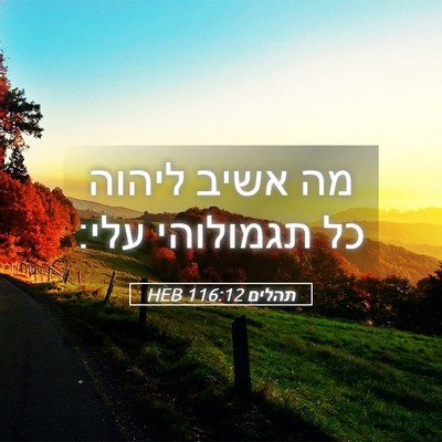 Picture 05 - תהלים 116:12 HEB - מה אשיב ליהוה כל תגמולוהי - Bible Verse Picture