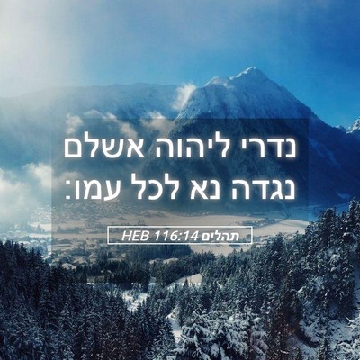 Picture 05 - תהלים 116:14 HEB - נדרי ליהוה אשלם נגדה נא לכל - Bible Verse Picture