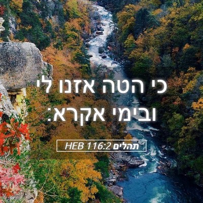Picture 05 - תהלים 116:2 HEB - כי הטה אזנו לי ובימי - Bible Verse Picture