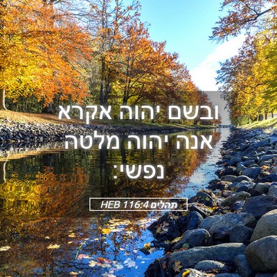 Picture 05 - תהלים 116:4 HEB - ובשם יהוה אקרא אנה יהוה - Bible Verse Picture