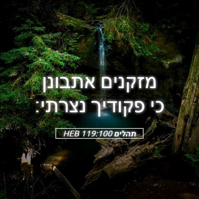 Picture 05 - תהלים 119:100 HEB - מזקנים אתבונן כי פקודיך - Bible Verse Picture