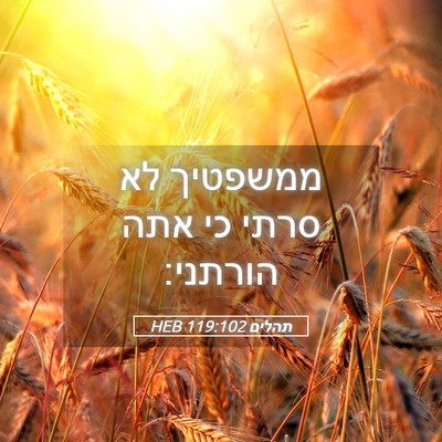 Picture 05 - תהלים 119:102 HEB - ממשפטיך לא סרתי כי אתה - Bible Verse Picture
