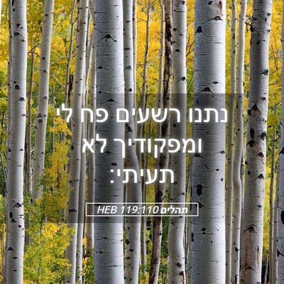 Picture 05 - תהלים 119:110 HEB - נתנו רשעים פח לי ומפקודיך - Bible Verse Picture