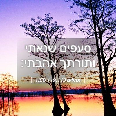 Picture 05 - תהלים 119:113 HEB - סעפים שנאתי ותורתך - Bible Verse Picture