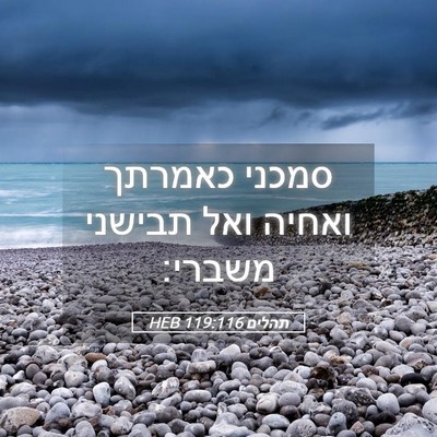 Picture 05 - תהלים 119:116 HEB - סמכני כאמרתך ואחיה ואל - Bible Verse Picture
