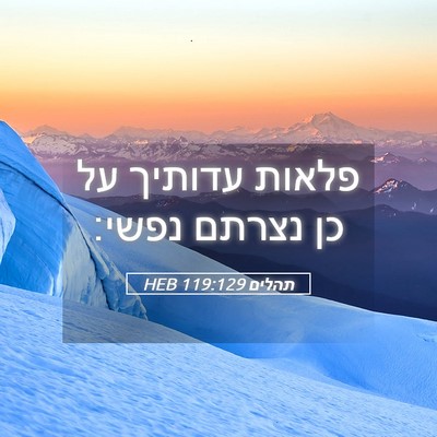 Picture 05 - תהלים 119:129 HEB - פלאות עדותיך על כן נצרתם - Bible Verse Picture
