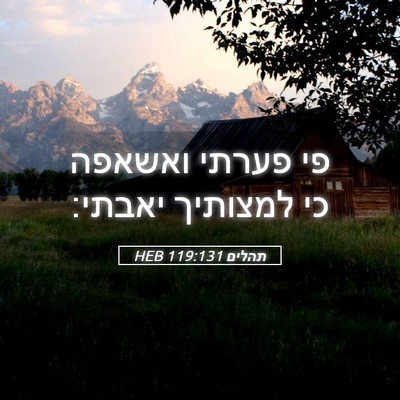 Picture 05 - תהלים 119:131 HEB - פי פערתי ואשאפה כי למצותיך - Bible Verse Picture