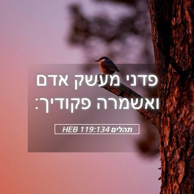 Picture 05 - תהלים 119:134 HEB - פדני מעשק אדם ואשמרה - Bible Verse Picture