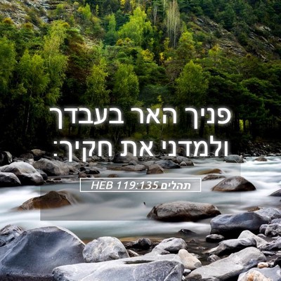 Picture 05 - תהלים 119:135 HEB - פניך האר בעבדך ולמדני את - Bible Verse Picture