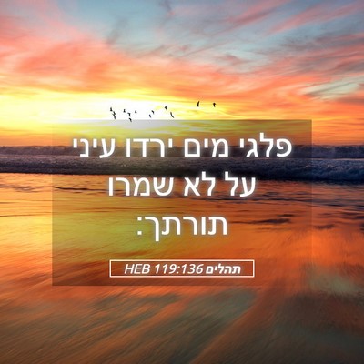 Picture 05 - תהלים 119:136 HEB - פלגי מים ירדו עיני על לא - Bible Verse Picture