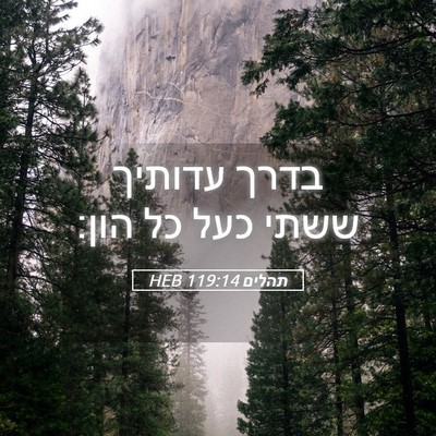 Picture 05 - תהלים 119:14 HEB - בדרך עדותיך ששתי כעל כל - Bible Verse Picture